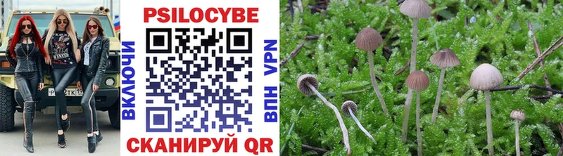 Купить закладки  Бологое  Галлюциногенные грибы мухоморы 