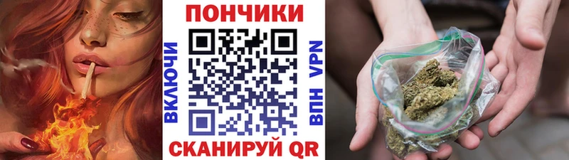 Канабис Bruce Banner Купить Бологое